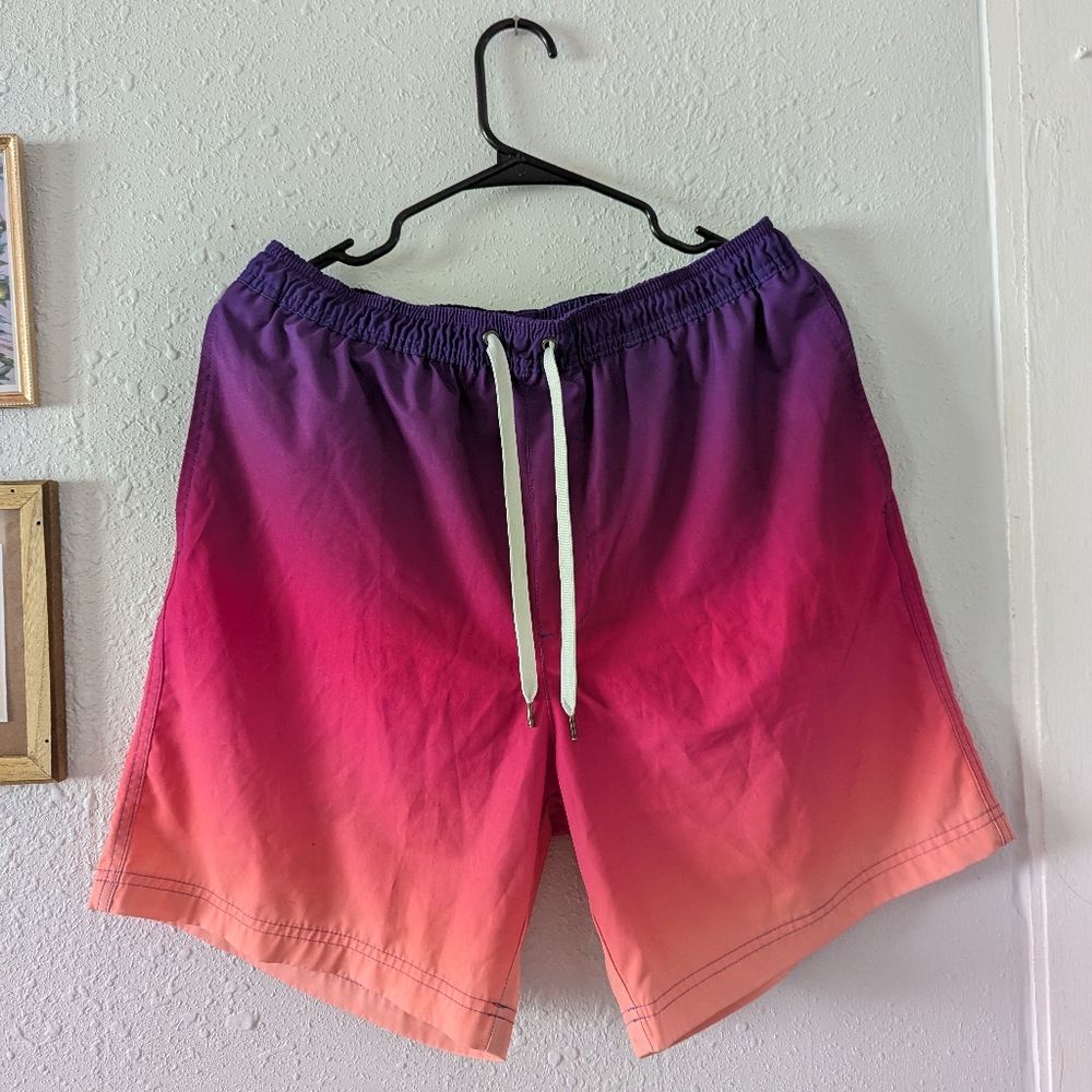 Purple and Pink Men's Swim Shorts